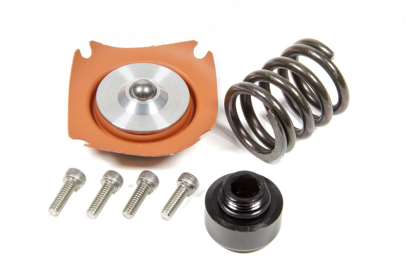 Regulator Rebuild Kit - 13305 35-75psi .313 Seat  -  13015