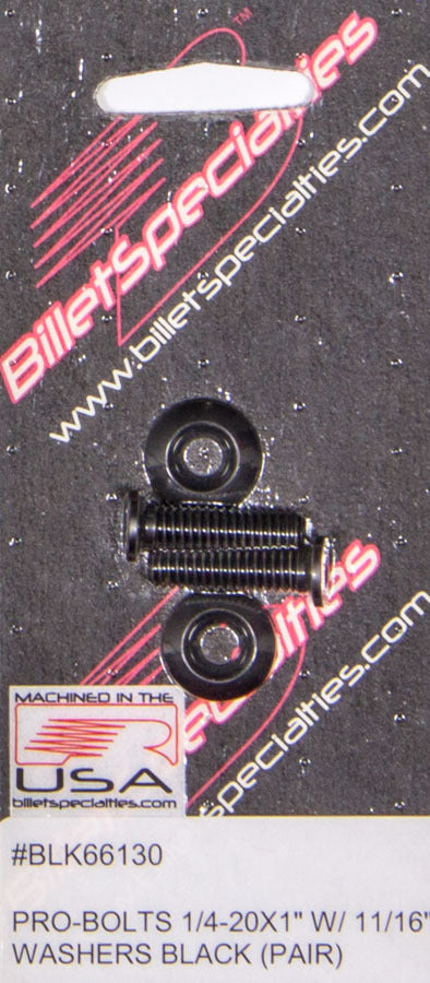 1/4-20 x 1in SS Bolts Black Pair  -  BLK66130