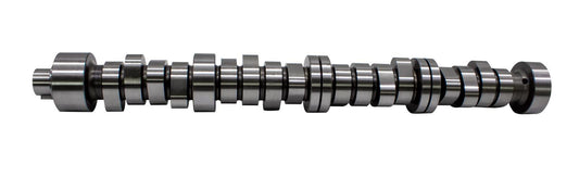 CAL270-009.jpg