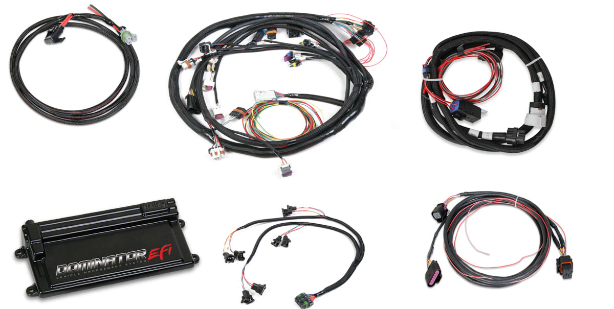 Dominator EFI Kit - LS2 w/Trans Contr & DBW  -  550-660