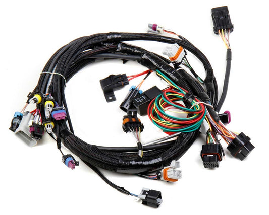 Main Wiring Harness LS1 & LS6  -  558-102