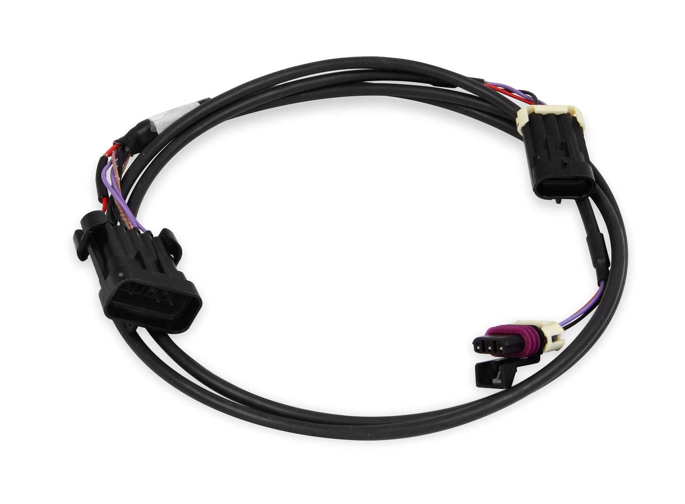 Crank/Cam Ignition Harness  -  558-431