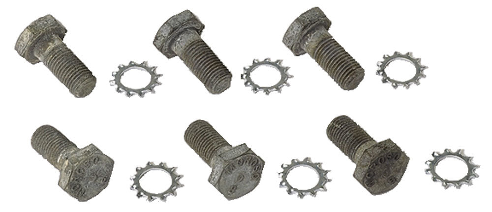 12 Pt Flywheel Bolts  -  38755