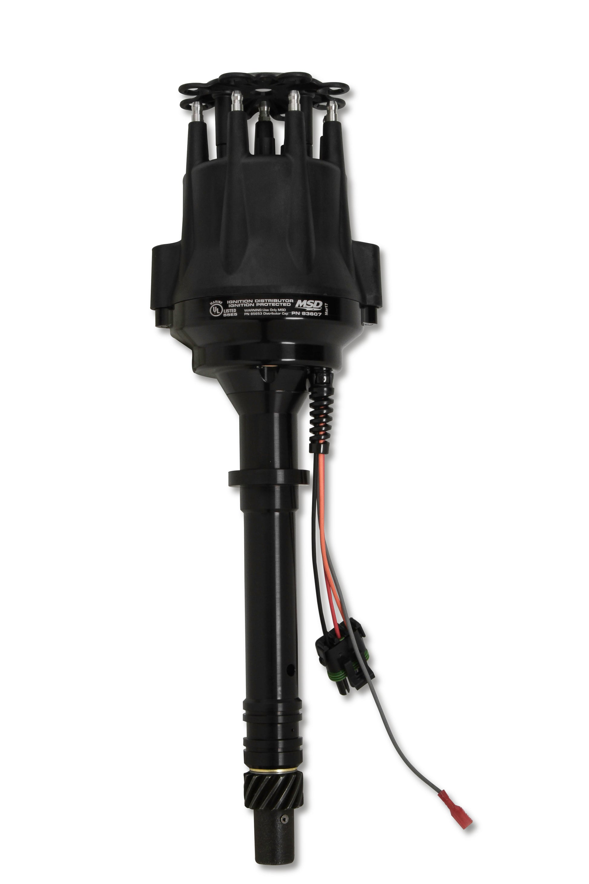 MSD83607.jpg