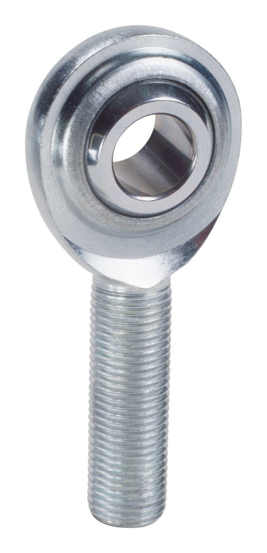 QA1MCMR10.jpg