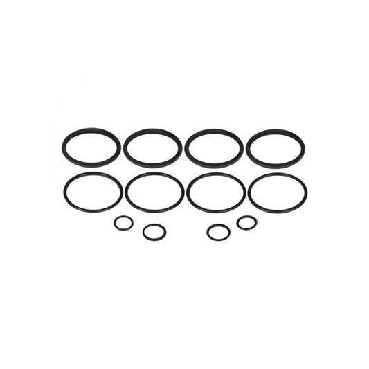 O-Ring Kit - for Early Strange 4-Piston Caliper  -  B5105